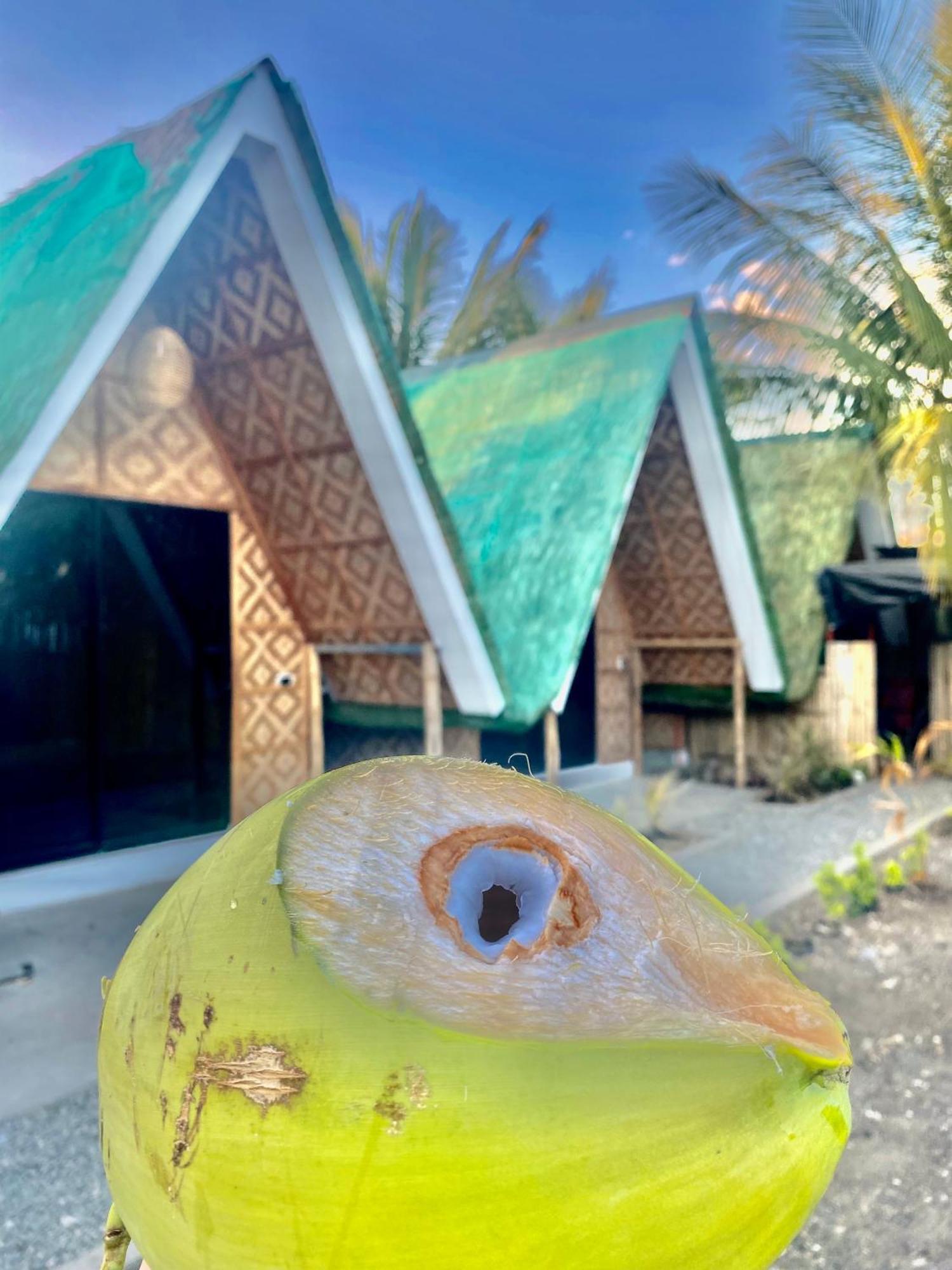 Villa Lovi Panagsama Beach Moalboal Bagian luar foto